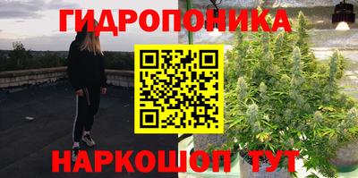 соль ск Будённовск
