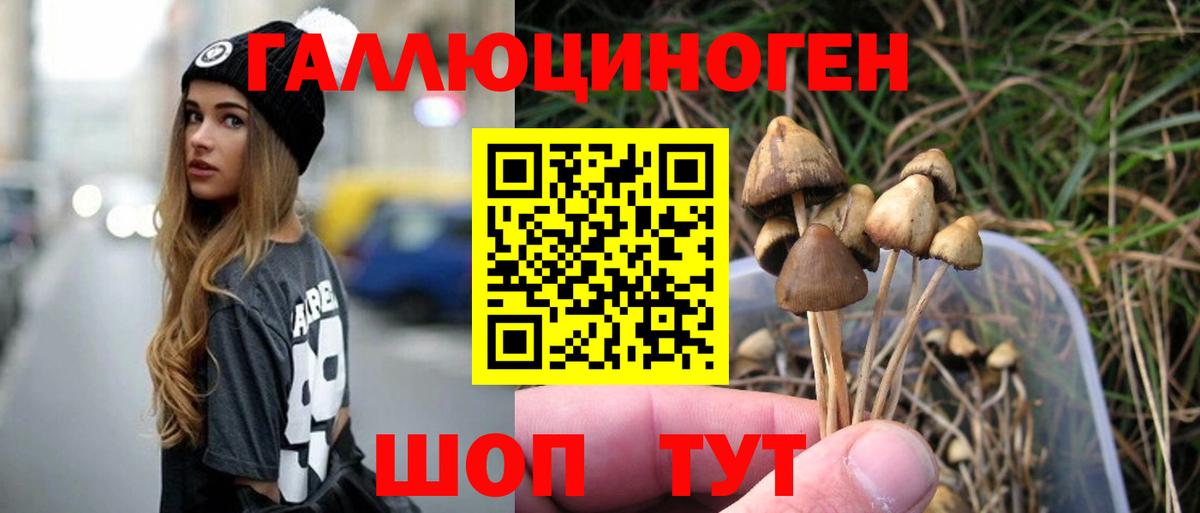 Озёрск  Псилоцибиновые грибы Psilocybine cubensis  Галлюциногенные грибы Psilocybe  Вход с VPN 