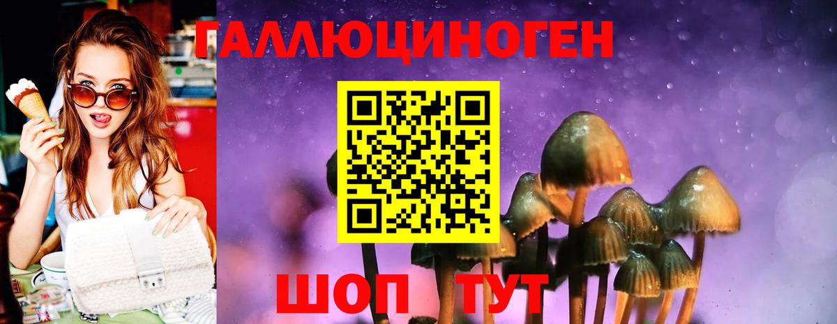 Псилоцибиновые грибы мухоморы Озёрск